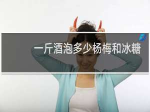 一斤酒泡多少杨梅和冰糖