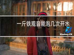 一斤铁观音能泡几次开水