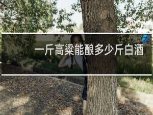 一斤高粱能酿多少斤白酒