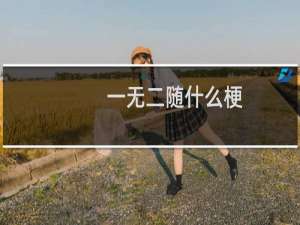 一无二随什么梗