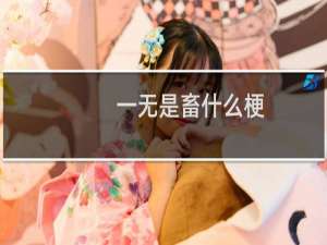 一无是畜什么梗