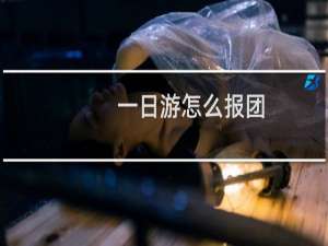 一日游怎么报团