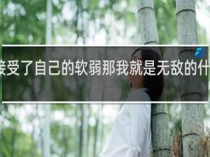 一旦接受了自己的软弱那我就是无敌的什么梗什么梗