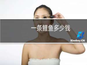 一条鲤鱼多少钱