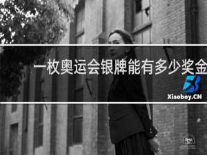 一枚奥运会银牌能有多少奖金