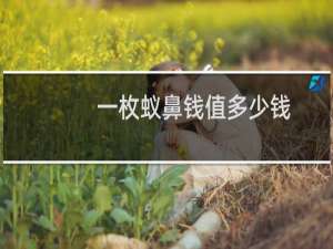 一枚蚁鼻钱值多少钱