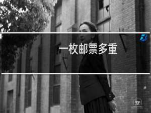 一枚邮票多重
