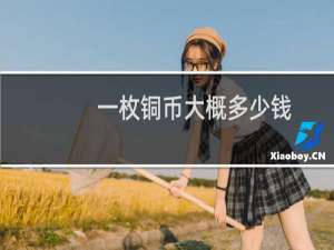 一枚铜币大概多少钱