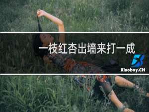一枝红杏出墙来打一成语四个字（一枝红杏出墙来打一成语）
