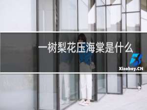 一树梨花压海棠是什么深意（一树梨花压海棠是什么意思）