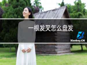 一根发叉怎么盘发