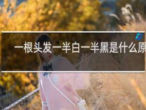 一根头发一半白一半黑是什么原因 根部黑