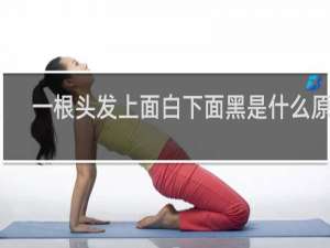 一根头发上面白下面黑是什么原因