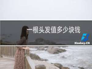 一根头发值多少块钱