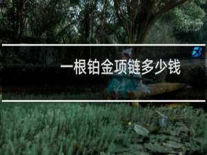 一根铂金项链多少钱