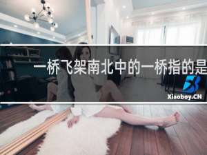 一桥飞架南北中的一桥指的是