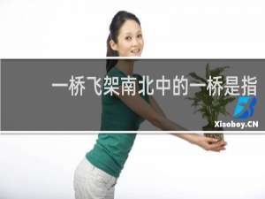 一桥飞架南北中的一桥是指