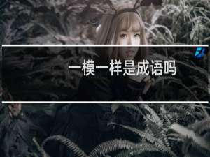 一模一样是成语吗