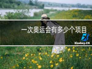 一次奥运会有多少个项目