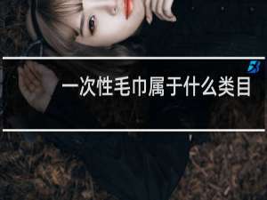 一次性毛巾属于什么类目