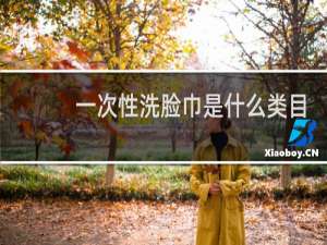 一次性洗脸巾是什么类目