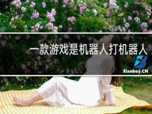 一款游戏是机器人打机器人