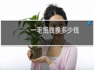 一毛纸钱换多少钱