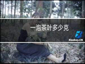一泡茶叶多少克