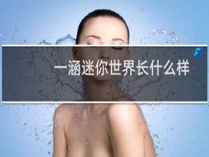 一涵迷你世界长什么样