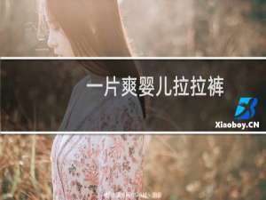 一片爽婴儿拉拉裤（一片爽）