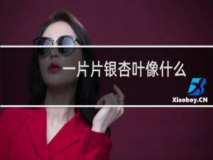 一片片银杏叶像什么