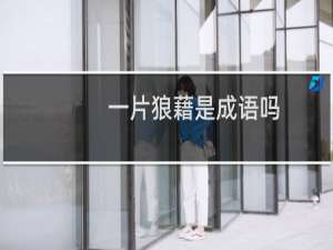 一片狼藉是成语吗