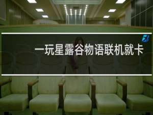 一玩星露谷物语联机就卡