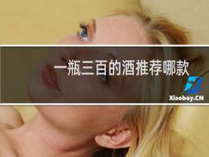 一瓶三百的酒推荐哪款