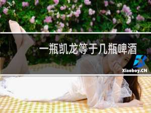 一瓶凯龙等于几瓶啤酒
