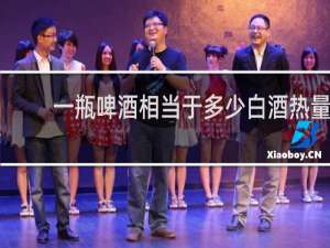 一瓶啤酒相当于多少白酒热量