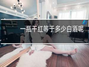 一瓶干红等于多少白酒呢