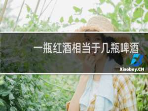 一瓶红酒相当于几瓶啤酒