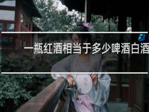 一瓶红酒相当于多少啤酒白酒