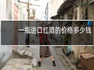 一瓶进口红酒的价格多少钱