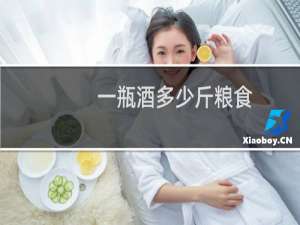 一瓶酒多少斤粮食
