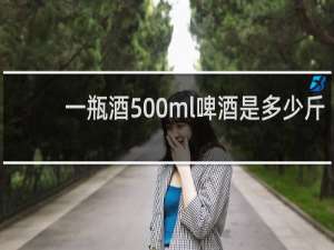 一瓶酒500ml啤酒是多少斤