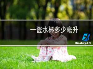 一瓷水杯多少毫升