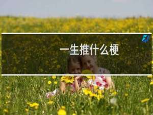 一生推什么梗