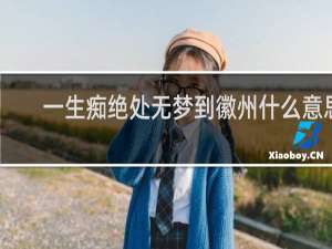 一生痴绝处无梦到徽州什么意思