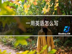 一用英语怎么写