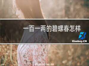 一百一两的碧螺春怎样