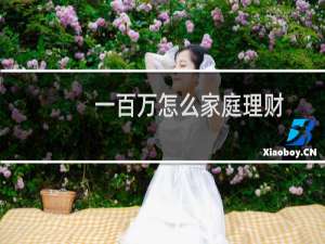 一百万怎么家庭理财