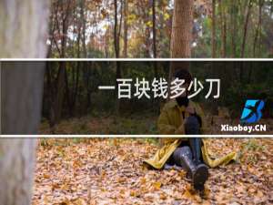 一百块钱多少刀