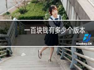 一百块钱有多少个版本
